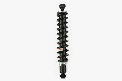 Set of 2 CAM-HO915 Rear Left and Right Shock Absorber for HONDA. Replaces OEM# 52400-HL3-A11. For full application listing click Buyer's Guide below.